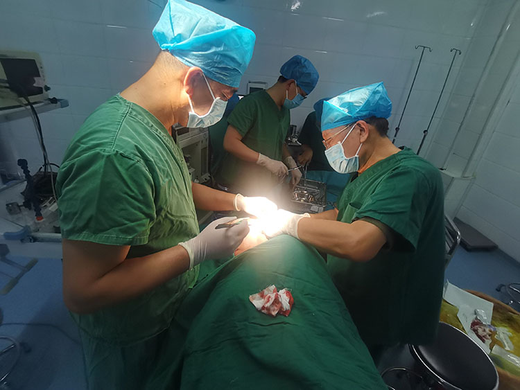 首页-BB贝博艾弗森公司官网