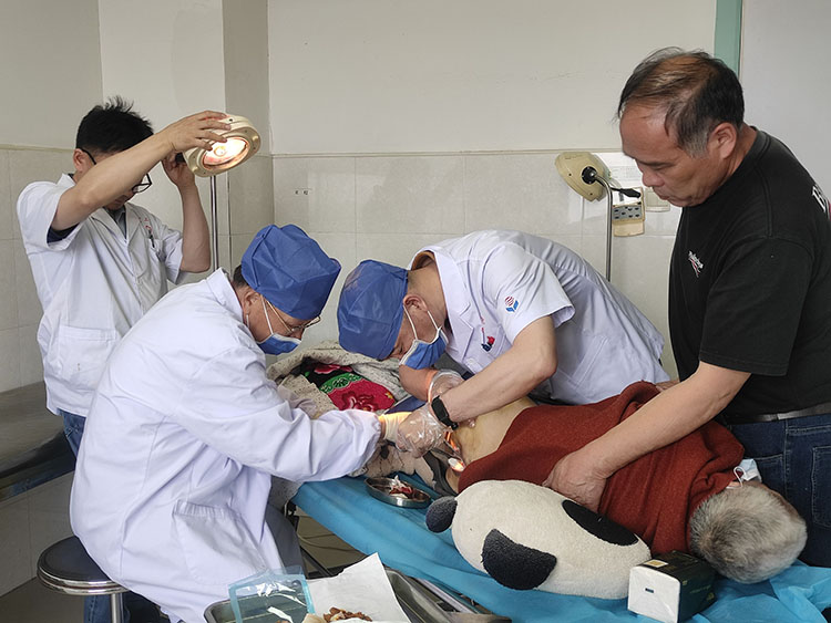 首页-BB贝博艾弗森公司官网