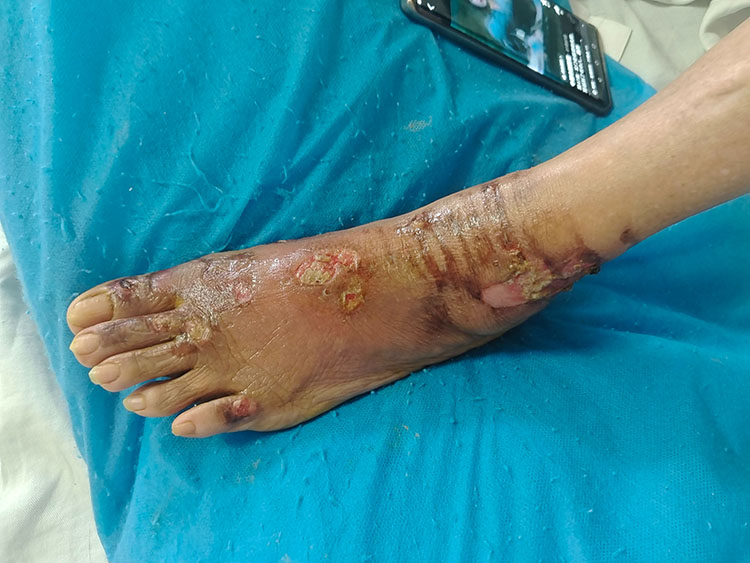 首页-BB贝博艾弗森公司官网