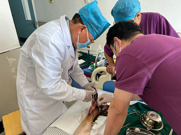 首页-BB贝博艾弗森公司官网