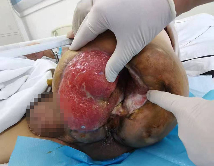 首页-BB贝博艾弗森公司官网