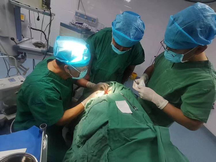 首页-BB贝博艾弗森公司官网