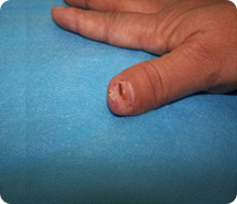 首页-BB贝博艾弗森公司官网