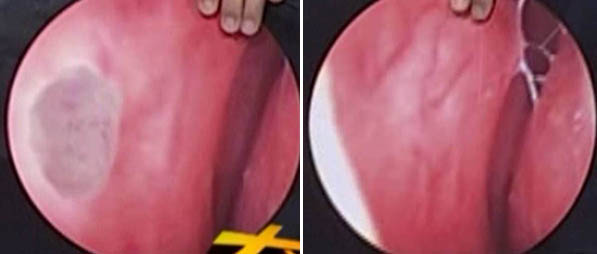 首页-BB贝博艾弗森公司官网