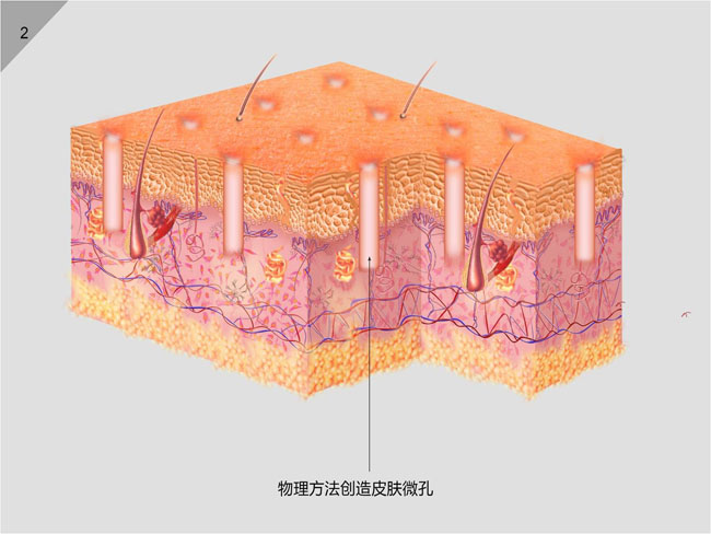 首页-BB贝博艾弗森公司官网