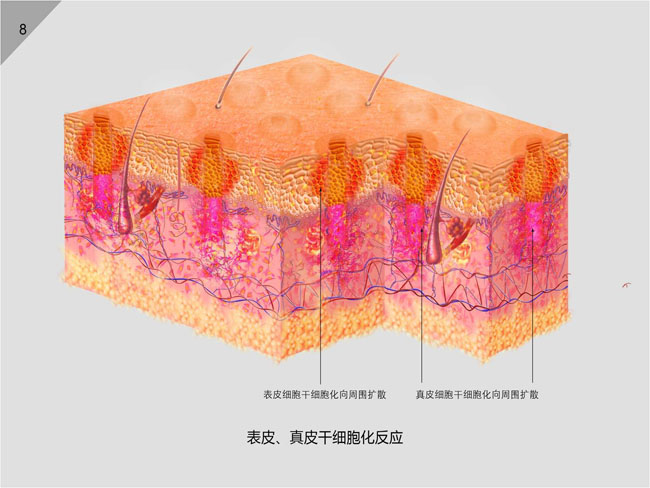 首页-BB贝博艾弗森公司官网